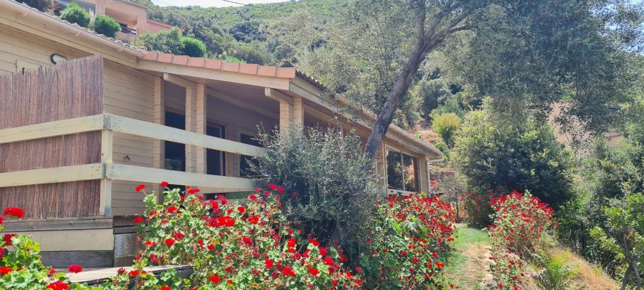 Les Terrasses De Scaglioli Chalet