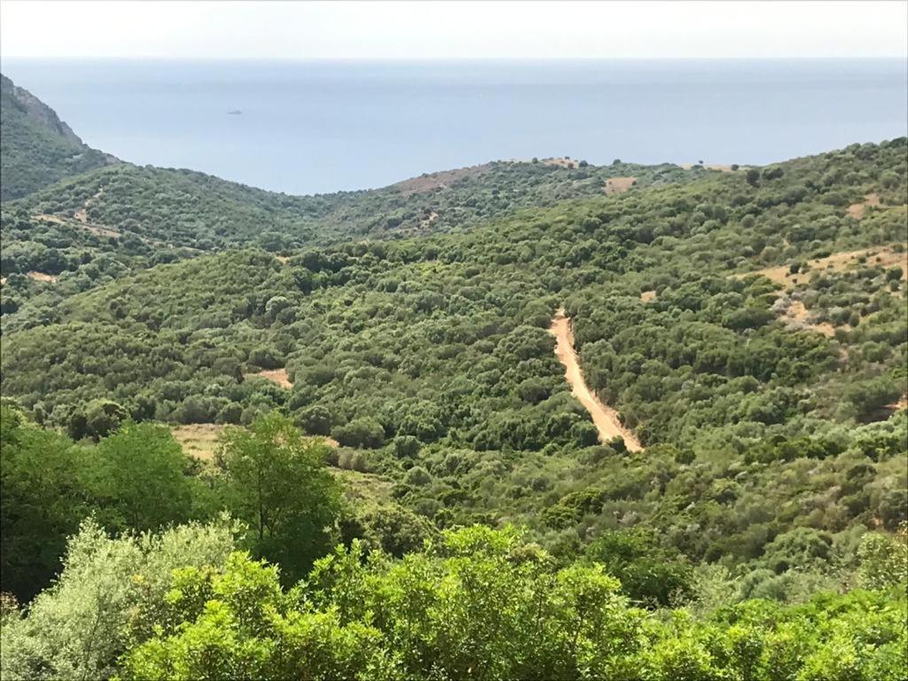 Les Terrasses De Scaglioli Chalet