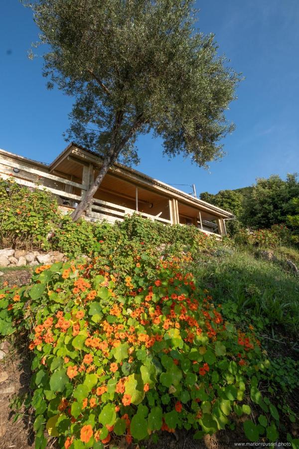 Les Terrasses De Scaglioli